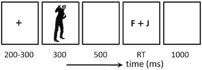 Gender Differences in Processing Fearful and Angry Body Expressions